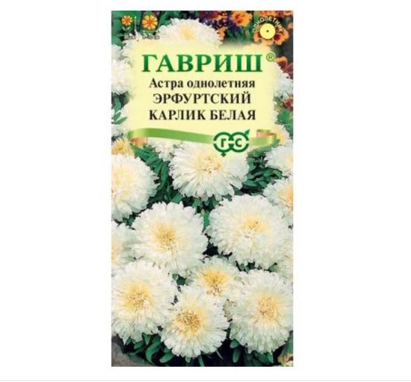  Астра Эрфуртский карлик Белая однолетняя 0,3г Гавриш
