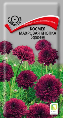  Космея Махровая кнопка бордовая 0,1г цв Поиск