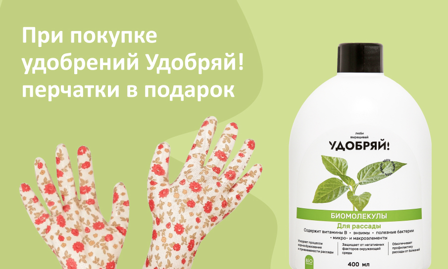 Специальное предложение для тех, кто на шаг впереди!