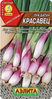  Лук батун Красавец 0,3г цв Аэлита