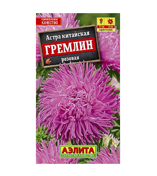  Астра Гремлин розовая цв Аэлита 