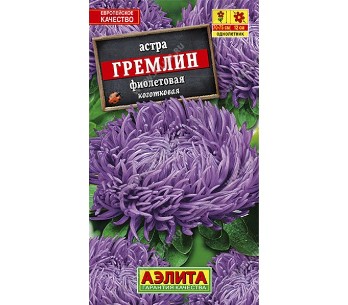  Астра Гремлин фиолетовая цв Аэлита