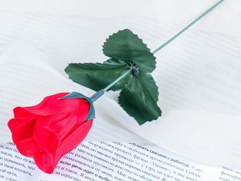  Цветы искусственные Роза 23см красная 1376813