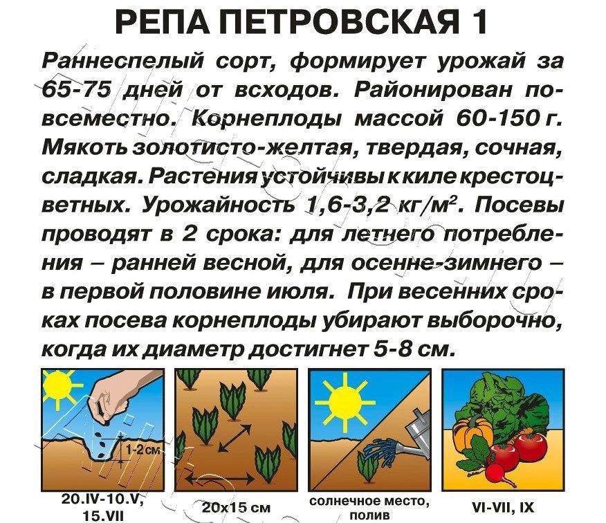  Репа Петровская 1 1г цв Поиск