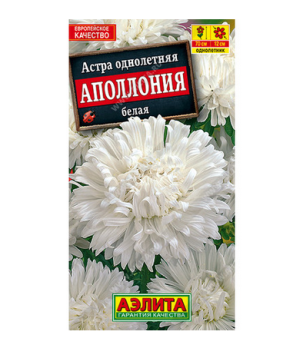  Астра Аполлония белая цв Аэлита