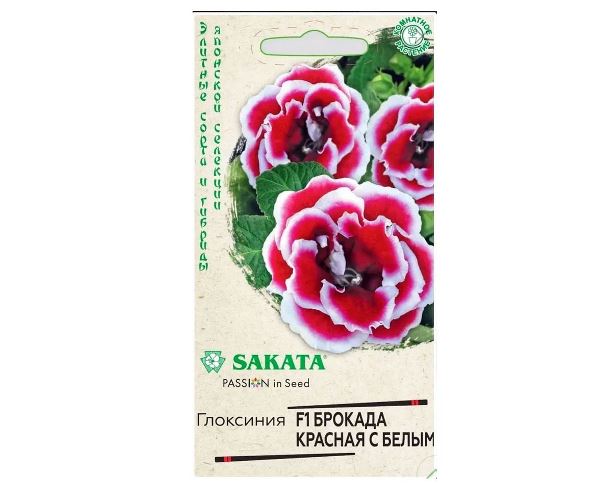  Глоксиния Брокада F1 красная с белым 4шт драже Саката Эксклюзив
