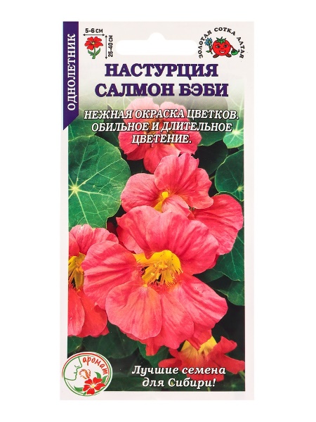  Настурция бэби сэлмон цв.Аэлита