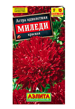  Астра Миледи красная цв Аэлита