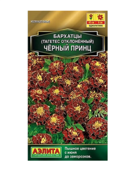 Бархатцы Черный принц отклонен цв Аэлита