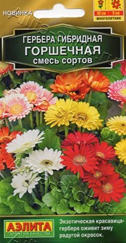  Гербера Горшечная смесь 10шт цв.Аэлита