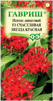  Пентас ланцетный Счастливая звезда красная F1 3шт цв Гавриш