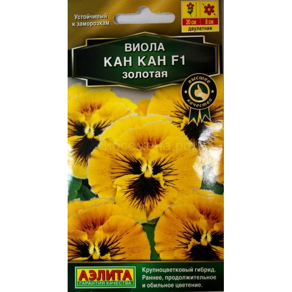  Виола Кан кан F1 золотая цв. Аэлита