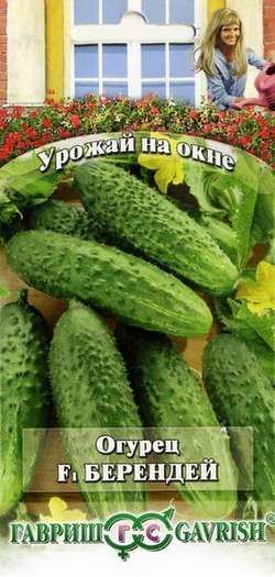 Огурец Берендей F1 цв. (сер. Урожай на окне) Гавриш