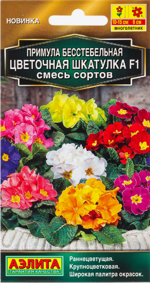  Примула Цветочная шкатулка F1 смесь цв Аэлита