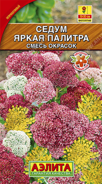  Седум (Очиток) Яркая палитра смесь цв Аэлита