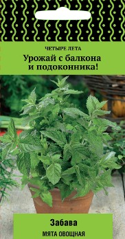  Мята овощная Забава 20шт цв Поиск