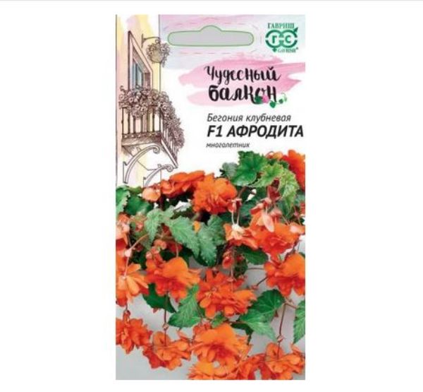  Бегония Афродита F1 клубневая 4шт Чудесный балкон Гавриш