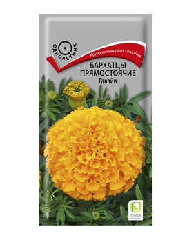  Бархатцы (тагетес) прямостояч Гавайи 0,4г цв Поиск
