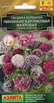  Гвоздика Пиноккио карликовая махровая смесь цв.Аэлита