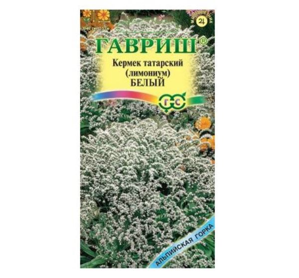  Кермек (лимониум) татарский белый 0,05г Альпийская горка Гавриш