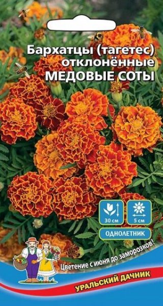  Бархатцы Медовые соты отклонен цв Урал.Дачник