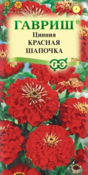  Цинния Красная шапочка лилипут 0,3г цв Гавриш