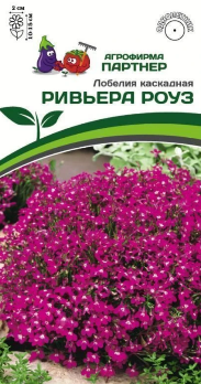  Лобелия каскадная Ривьера Роуз 10шт в амп. цв. Партнер