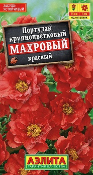  Портулак махровый красный цв Аэлита