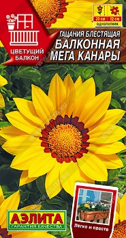  Гацания Балконная мега канары цв Аэлита