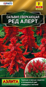  Сальвия сверкающая Ред Алерт цв Аэлита
