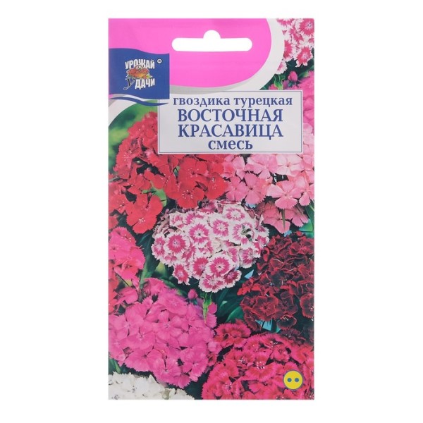  Гвоздика Красавица востока смесь цв.Аэлита