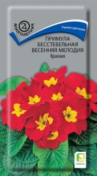  Примула бесстебельная Весенняя мелодия красная 10шт цв Поиск