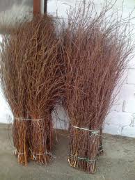  Веник Чилиговый