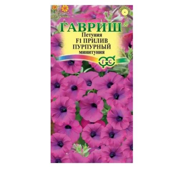  Петуния Прилив Пурпурный F1 минитуния 4шт Элитн клумба Н22 Гавриш