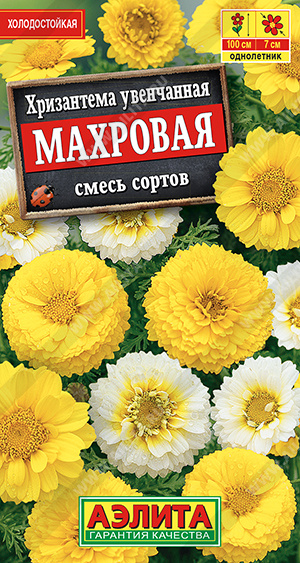  Хризантема Махровая увенчанная смесь цв Аэлита