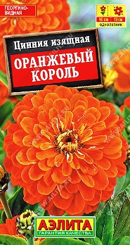  Цинния Оранжевый король цв Аэлита