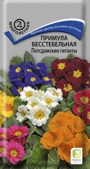  Примула бесстебельная Потсдамские гиганты 0,05г цв Поиск