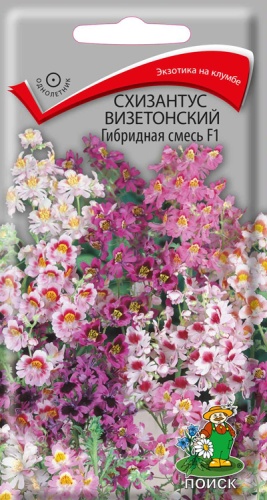  Схизантус визетонский Гибридная смесь 0,06г цв Поиск