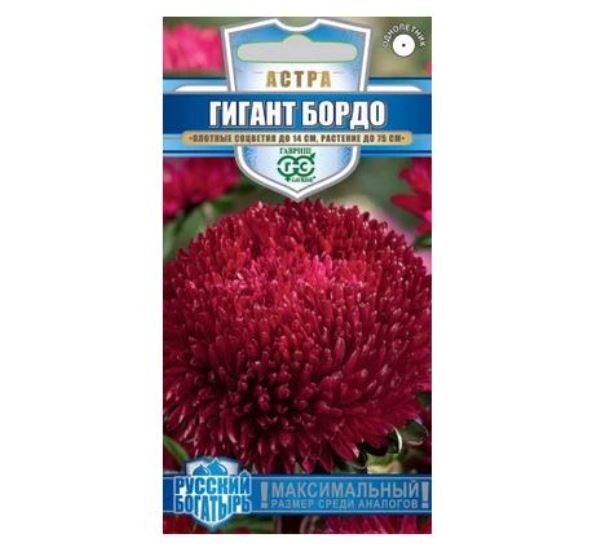  Астра Гигант бордо однолетняя 0,05г Русский богатырь Гавриш