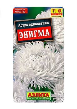  Астра Энигма коготковая цв Аэлита