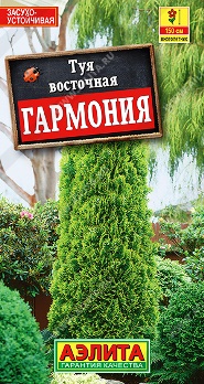  Туя восточная Гармония цв Аэлита