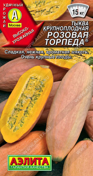 Тыква крупноплодная Розовая торпеда цв. Аэлита