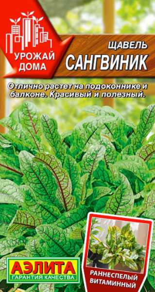  Щавель Сангвиник цв Аэлита (Урожай дома)