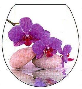  Сиденье для унитаза Орхидея RY3052 Аквалиния