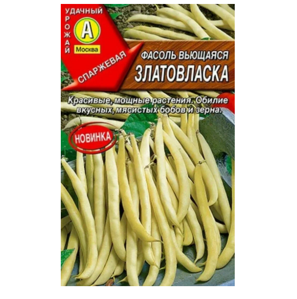  Фасоль вьющаяся Златовласка  цв Аэлита