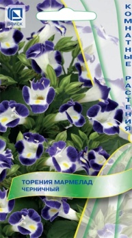  Торения Мармелад черничный 5шт цв Поиск
