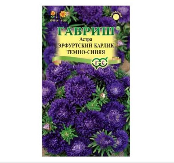  Астра Эрфуртский карлик Темно-синия однолетняя 0,3г Гавриш