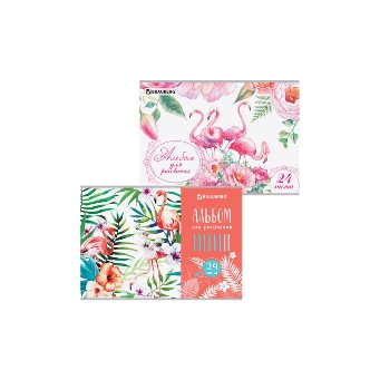  Альбом для рисования 24л Brauberg Фламинго, скоба 105059