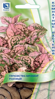  Гипоэстес Мрамор розовый 7шт цв Поиск