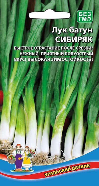  Лук батун Сибиряк Урал.Дачник